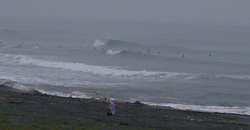 121017pm-eagle1 (7).jpg